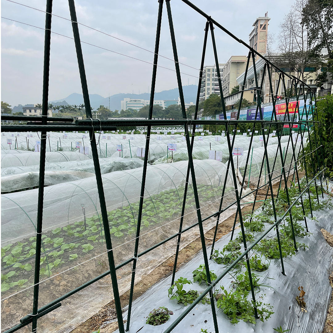 Edena | Plant Climbing Frame Trellis