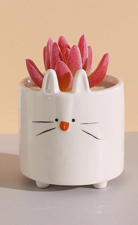 GeoCritters | Boxy Ceramic Plant Set