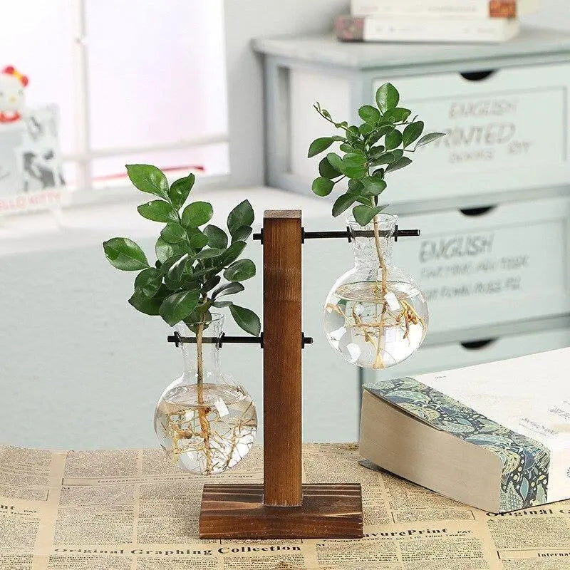 Nico | Glass Propagation Vase With Vertical Wooden Stand
